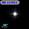 HD 117951