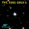 TYC 3161-1013-1