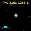 TYC 3161-1256-1