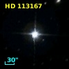HD 113167