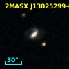 2MASX J13025299+5513369
