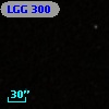 LGG 300