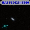 IRAS F12423+5500