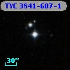 TYC 3841-607-1