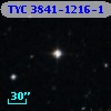 TYC 3841-1216-1