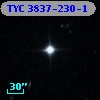 TYC 3837-230-1