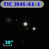 TYC 3841-61-1