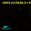 1RXS J115636.2+555952