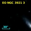 EO NGC 3921   3