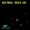 EO NGC 3921  28