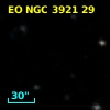 EO NGC 3921  29