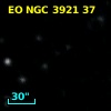 EO NGC 3921  37