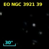 EO NGC 3921  39