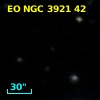 EO NGC 3921  42