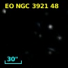EO NGC 3921  48