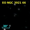 EO NGC 3921  66
