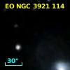 EO NGC 3921 114