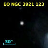 EO NGC 3921 123