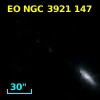 EO NGC 3921 147
