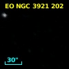 EO NGC 3921 202