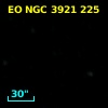 EO NGC 3921 225