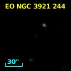 EO NGC 3921 244