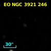 EO NGC 3921 246