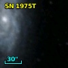 SN 1975T
