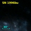 SN 1996bu