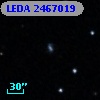 LEDA 2467019