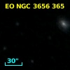 EO NGC 3656 365