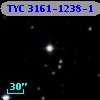 TYC 3161-1238-1