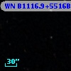 WN B1116.9+5516B