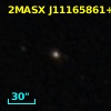 2MASS J11165863+5537419