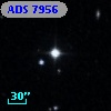 ADS  7956