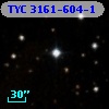 TYC 3161-604-1