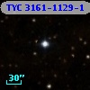 TYC 3161-1129-1