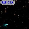 RLP  229