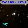 TYC 3161-1137-1