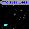 TYC 3161-1042-1