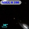 NOGG H  390