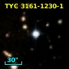 TYC 3161-1230-1