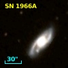 SN 1966A