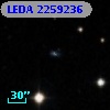 LEDA 2259236