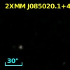 CXOSEXSI J085020.1+445608