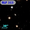 RLP  313