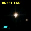 BD+43  1837