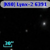 [K80] Lynx-2  6391
