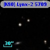[K80] Lynx-2  5709