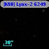 [K80] Lynx-2  6249